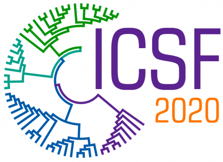 ̳  ICSF-2020: The International Conference on sustainable Futures: Environmental, Technological, Social and Economic Matters